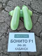 Бонито F1 (SQ 29)